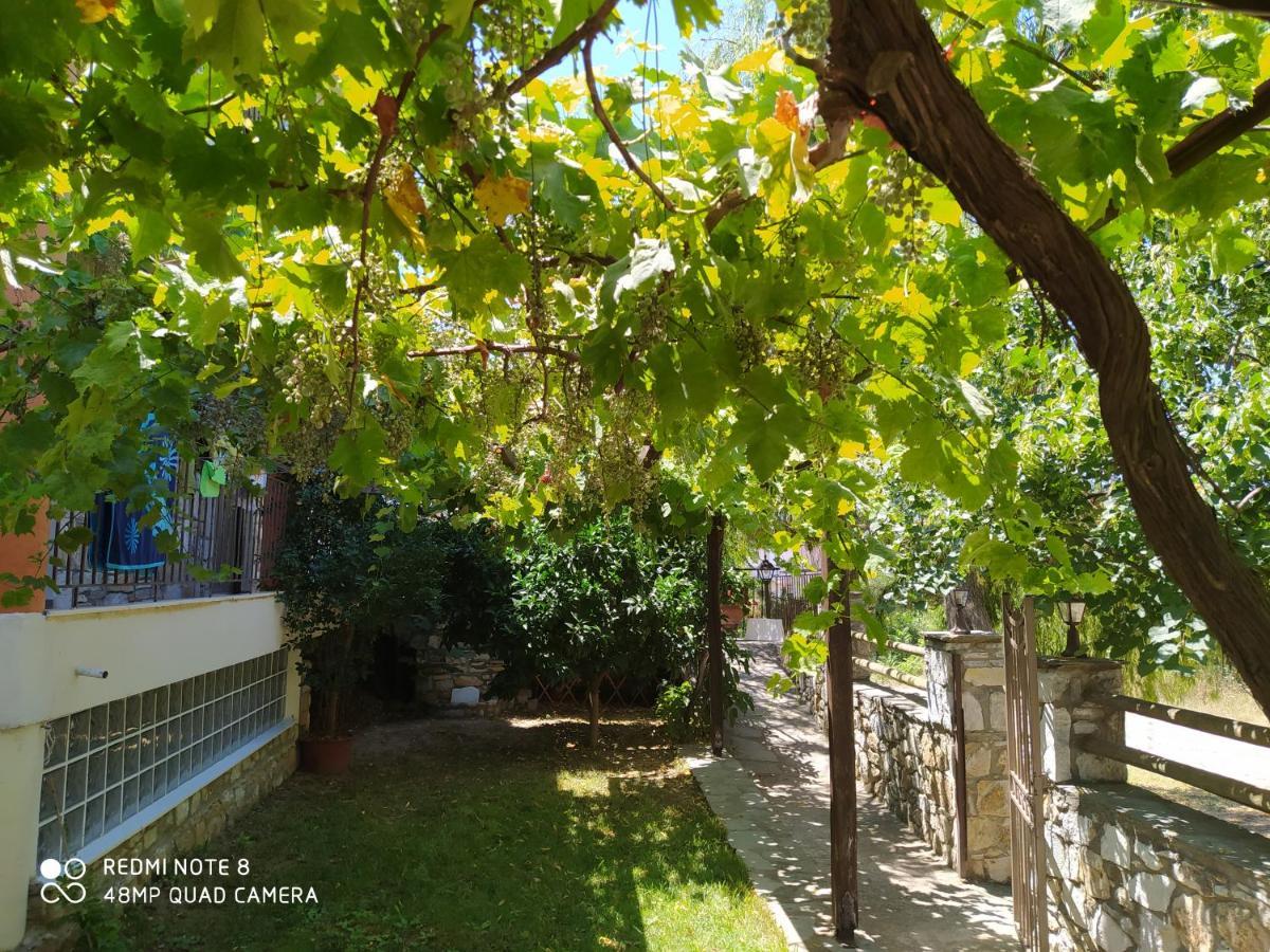 Morfili Villa Limenaria  Exterior foto
