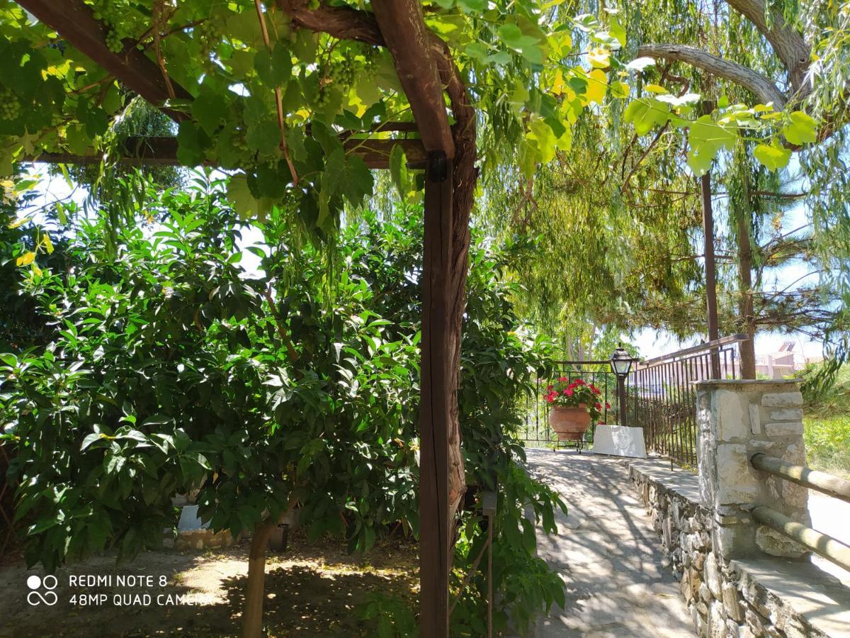 Morfili Villa Limenaria  Exterior foto